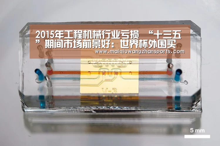 2015年工程机械行业亏损 “十三五”期间市场前景好:世界杯外围买球(图2) 世界杯买球网站官网