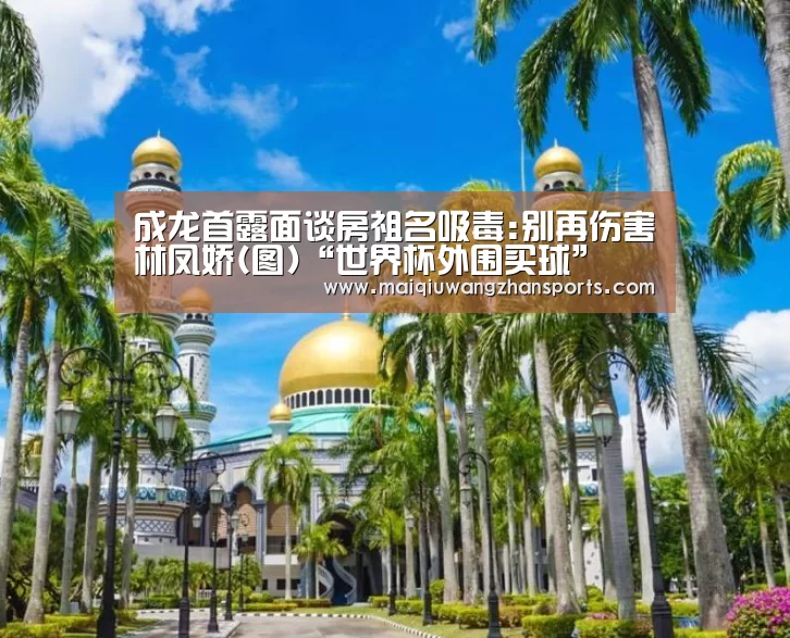 成龙首露面谈房祖名吸毒:别再伤害林凤娇(图)“世界杯外围买球”(图2) 世界杯买球网站官网