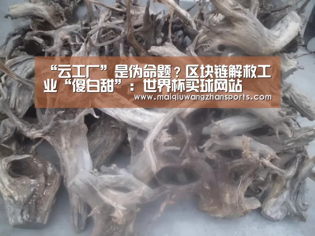 “云工厂”是伪命题?区块链解救工业“傻白甜”:世界杯买球网站(图2) 世界杯投注