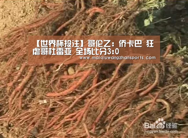 【世界杯投注】哥伦乙: 侨卡巴 狂虐哥杜雷亚 全场比分3:0(图1) 世界杯买球网站