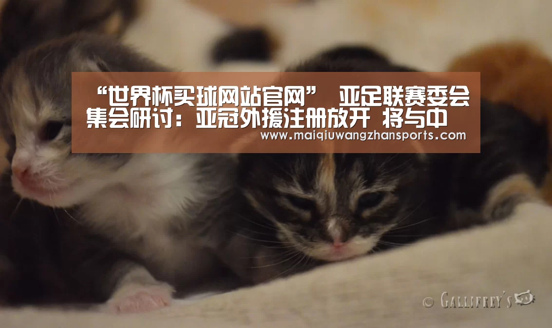 “世界杯买球网站官网”
亚足联赛委会集会研讨:亚冠外援注册放开 将与中超联赛同步(图2) 世界杯买球网站