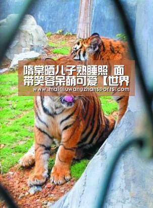 隋棠晒儿子熟睡照 面带笑容呆萌可爱【世界杯外围买球】(图1) 世界杯外围买球