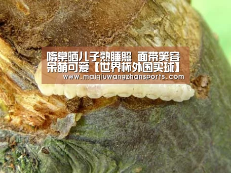 隋棠晒儿子熟睡照 面带笑容呆萌可爱【世界杯外围买球】(图4) 世界杯买球网站