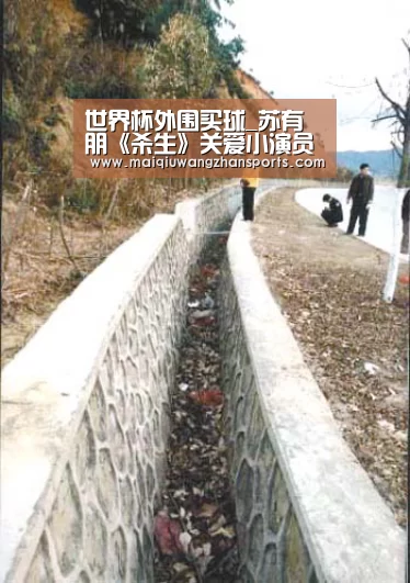 世界杯外围买球_苏有朋《杀生》关爱小演员 与犀利导演搭配受关注(图2) 世界杯投注