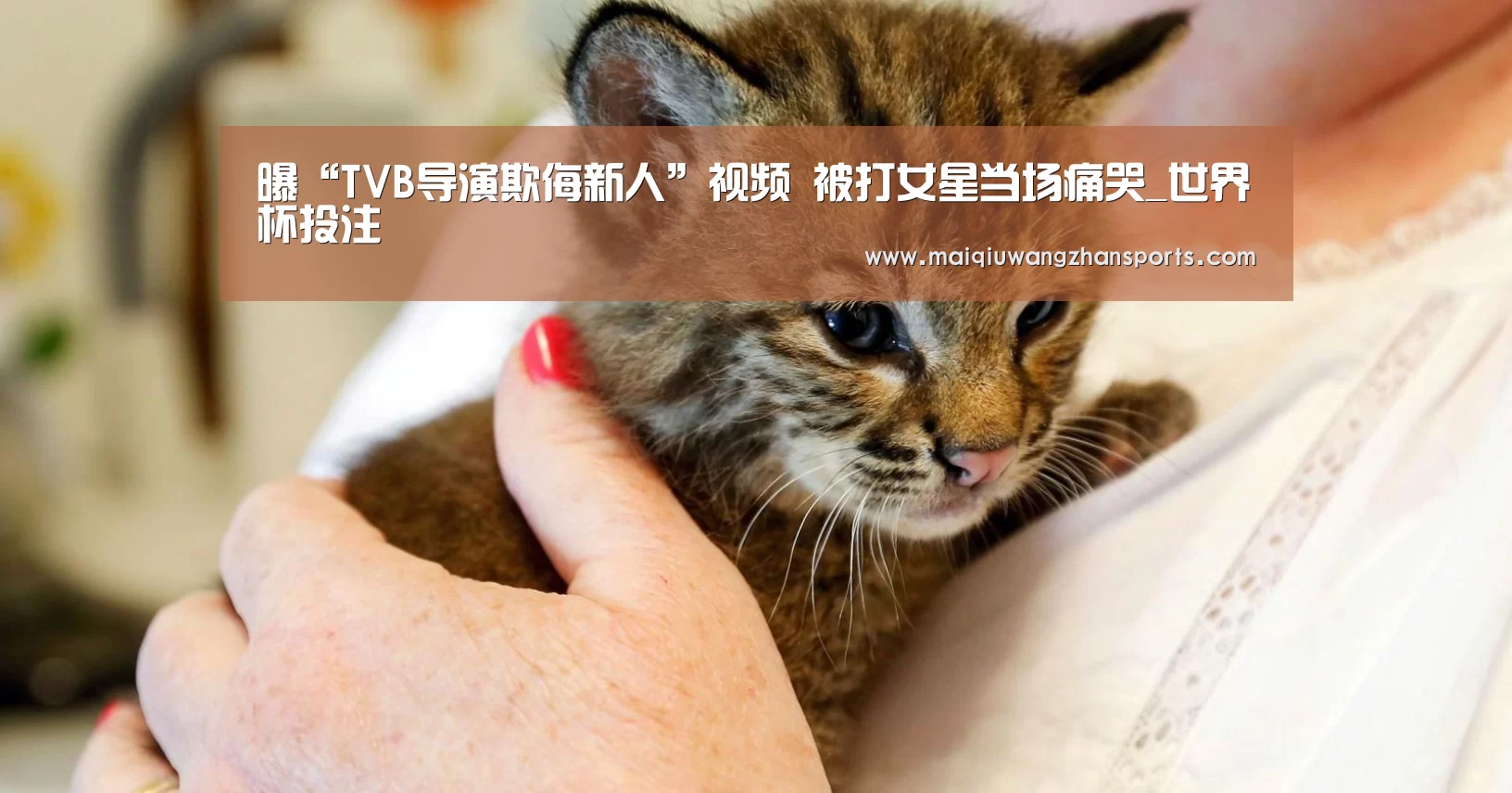 曝“TVB导演欺侮新人”视频 被打女星当场痛哭_世界杯投注(图2) 世界杯买球网站官网