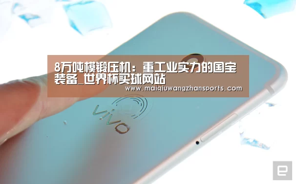 8万吨模锻压机:重工业实力的国宝装备_世界杯买球网站(图4) 世界杯外围买球