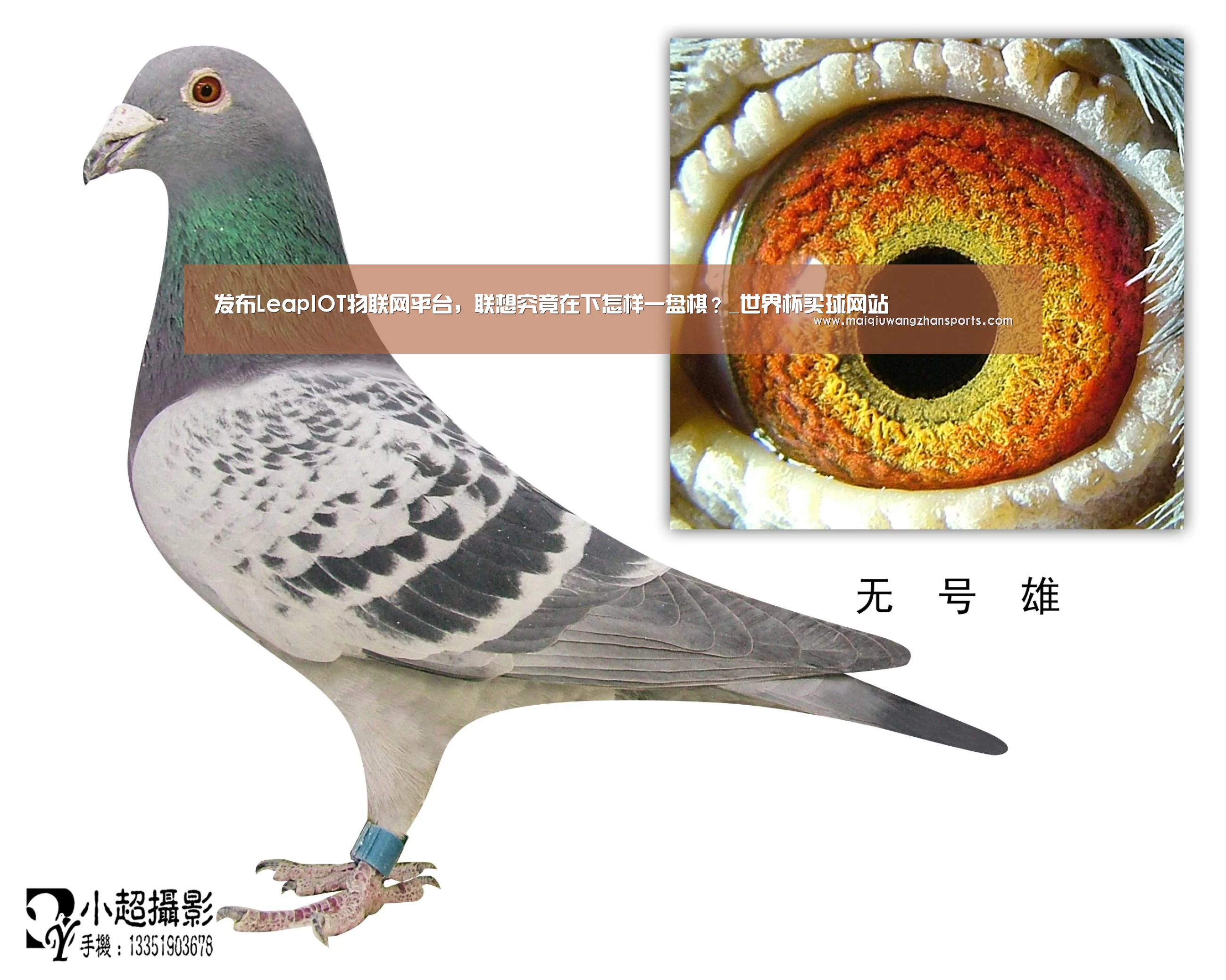 发布LeapIOT物联网平台,联想究竟在下怎样一盘棋?_世界杯买球网站(图3) 世界杯买球网站官网