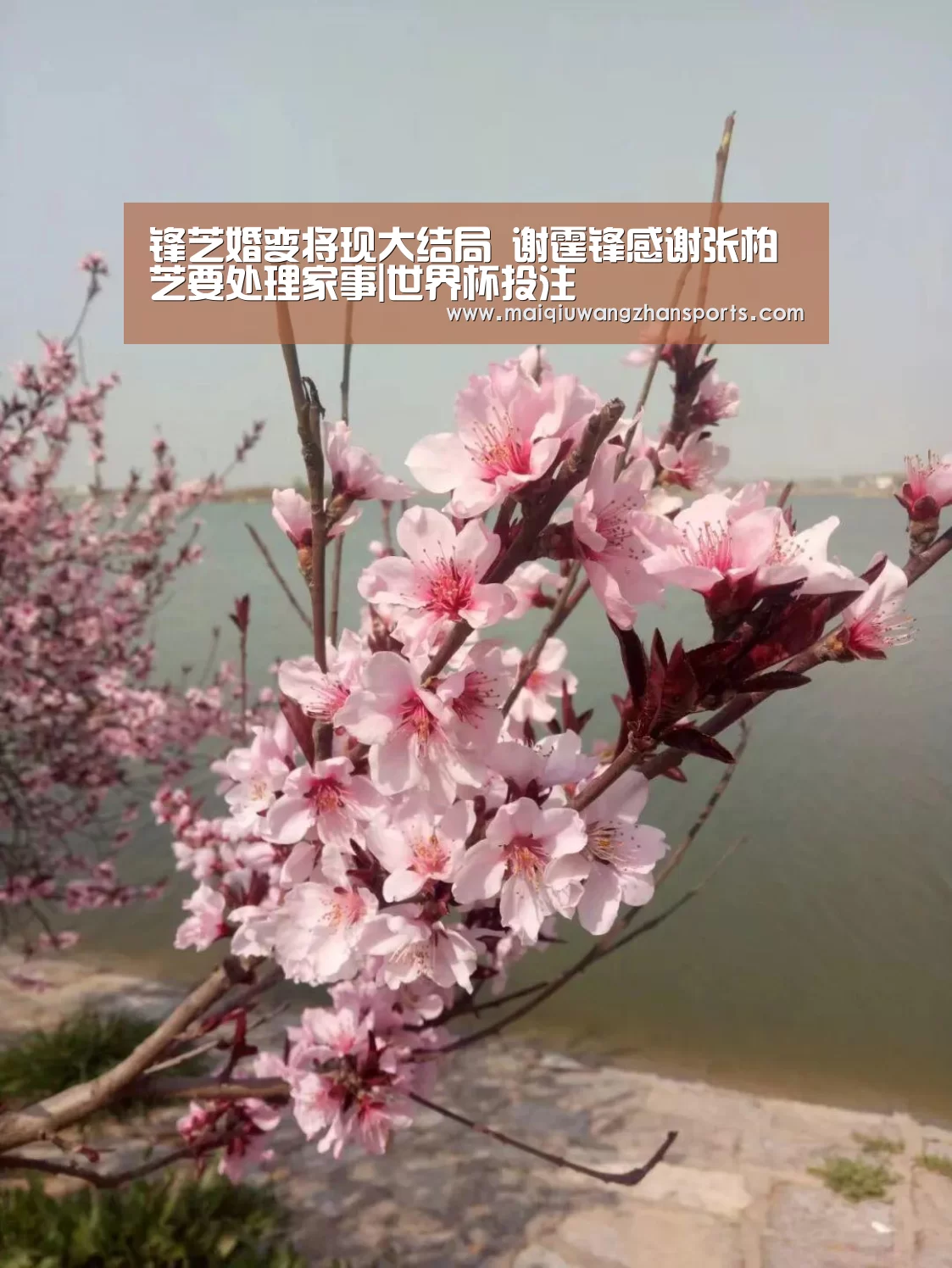 世界杯外围买球